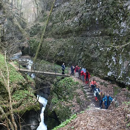 Hotel Pansion I Restoran Bijela Ruza Ravna Gora