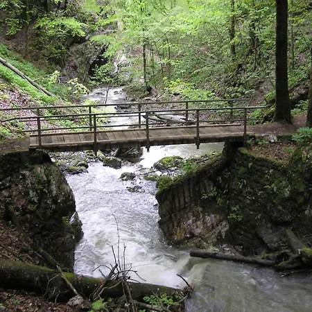 Pansion I Restoran Bijela Ruza 3* Ravna Gora