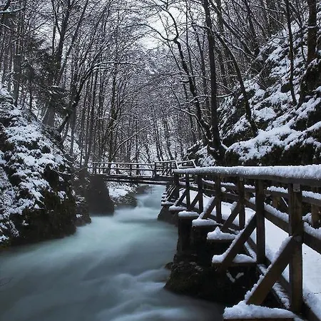 Pansion I Restoran Bijela Ruza 3* Ravna Gora
