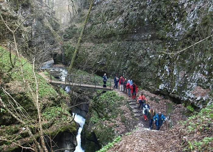 Отель Pansion Bijela Ruza - A La Carte Равна-Гора