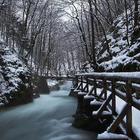 Pansion Bijela Ruža - A La Carte 3* Ravna Gora