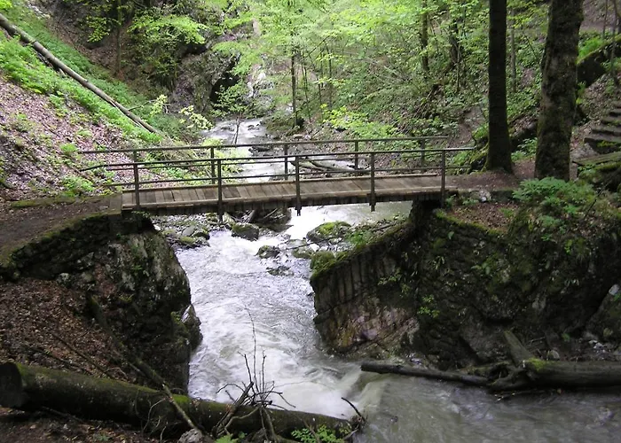 Pansion Bijela Ruza - A La Carte 3* رافنا غورا