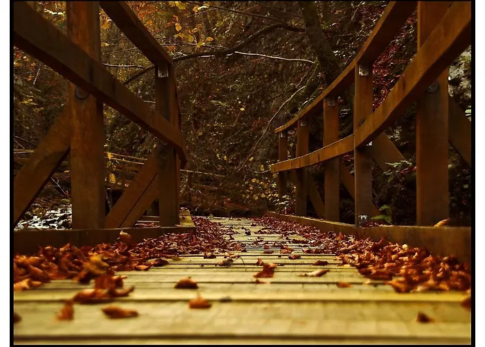 Pansion Bijela Ruza - A La Carte 3*