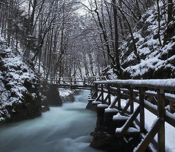 Pansion Bijela Ruza - A La Carte 3* رافنا غورا