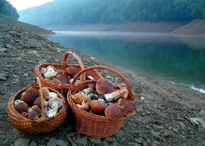 فندق Pansion Bijela Ruza - A La Carte